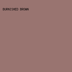 997470 - Burnished Brown color image preview