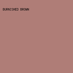 AF7D77 - Burnished Brown color image preview