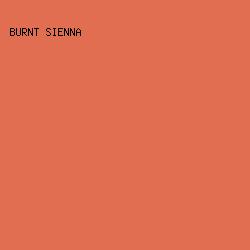 E26E51 - Burnt Sienna color image preview