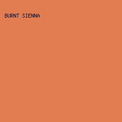 E27D52 - Burnt Sienna color image preview