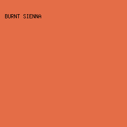 E46D47 - Burnt Sienna color image preview