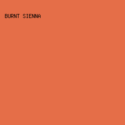 E56E48 - Burnt Sienna color image preview