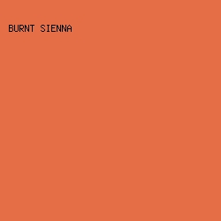 E66E47 - Burnt Sienna color image preview