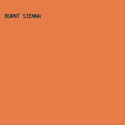 E67D48 - Burnt Sienna color image preview