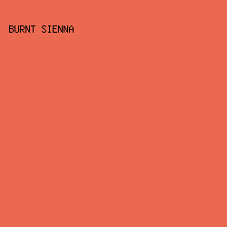 EB6950 - Burnt Sienna color image preview