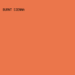 EB764B - Burnt Sienna color image preview