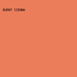 EB7D5B - Burnt Sienna color image preview
