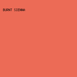 EC6B56 - Burnt Sienna color image preview
