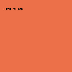 EC7049 - Burnt Sienna color image preview