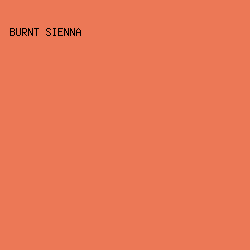 EC7856 - Burnt Sienna color image preview