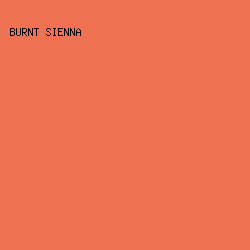 EF7351 - Burnt Sienna color image preview