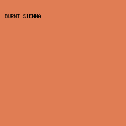 e07d54 - Burnt Sienna color image preview