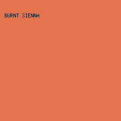 e3734d - Burnt Sienna color image preview