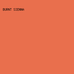 e96f4d - Burnt Sienna color image preview