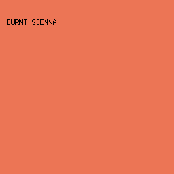 ec7555 - Burnt Sienna color image preview