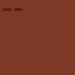 7D3828 - Burnt Umber color image preview