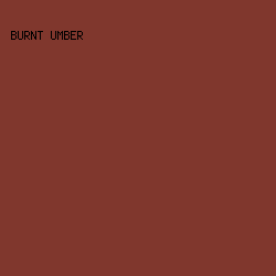 80372D - Burnt Umber color image preview