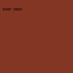 833623 - Burnt Umber color image preview