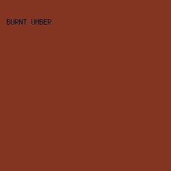 843522 - Burnt Umber color image preview