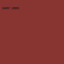 883531 - Burnt Umber color image preview