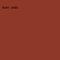 8E3927 - Burnt Umber color image preview