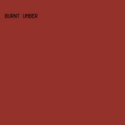 93312a - Burnt Umber color image preview