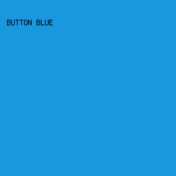 1898DE - Button Blue color image preview