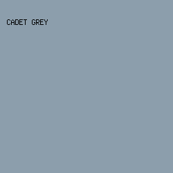 8C9EAC - Cadet Grey color image preview