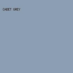 8C9FB2 - Cadet Grey color image preview
