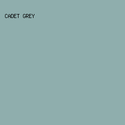 8faead - Cadet Grey color image preview