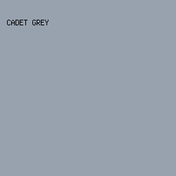 98a2af - Cadet Grey color image preview