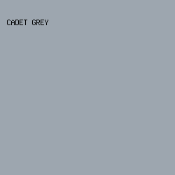9da6af - Cadet Grey color image preview
