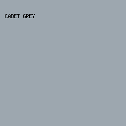 9da7af - Cadet Grey color image preview