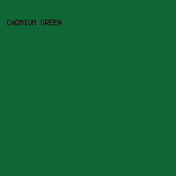 0d6835 - Cadmium Green color image preview