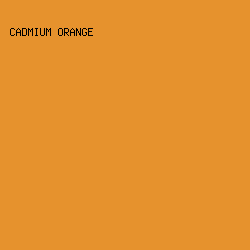 E6922D - Cadmium Orange color image preview