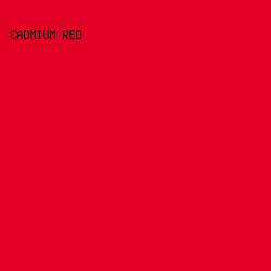 E20025 - Cadmium Red color image preview