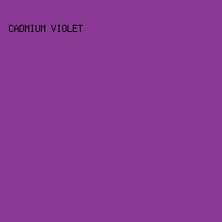 893993 - Cadmium Violet color image preview