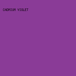 8A3B97 - Cadmium Violet color image preview