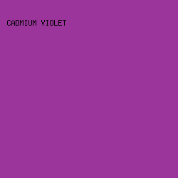 9B359C - Cadmium Violet color image preview