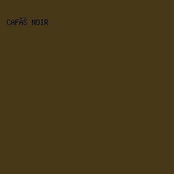 473817 - Café Noir color image preview