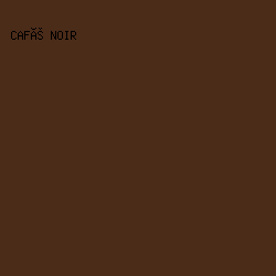 4B2C19 - Café Noir color image preview