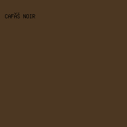 4C3722 - Café Noir color image preview