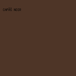4e3527 - Café Noir color image preview