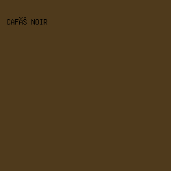 4f3a1c - Café Noir color image preview