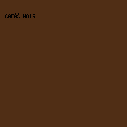 502E15 - Café Noir color image preview