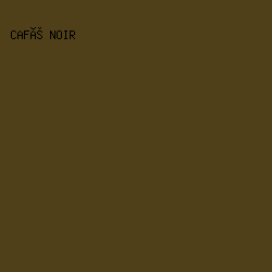 504019 - Café Noir color image preview