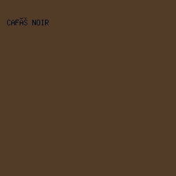 523b27 - Café Noir color image preview