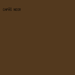 53391e - Café Noir color image preview