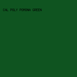 0F5420 - Cal Poly Pomona Green color image preview