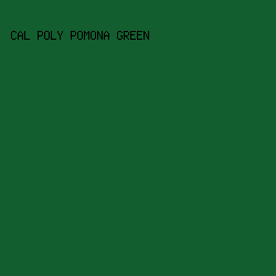 125E2F - Cal Poly Pomona Green color image preview